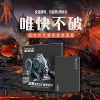 英諾達(dá)ST600 戰(zhàn)狼 960G SSD固態(tài)硬盤(pán) 云南電腦批發(fā)