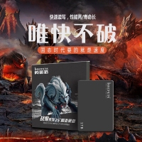 英諾達(dá)ST600 戰(zhàn)狼 1000G SSD固態(tài)硬盤 云南電腦批發(fā)