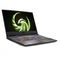微星（MSI）Alpha15 15.6英寸游戲筆記本電腦(標壓銳龍7 3750H 16G 512G SSD RX5500M獨顯 144Hz電競屏 )（Alpha 15 A3DDK-015CN）