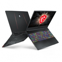 微星(msi)GE65 15.6英寸游戲本240Hz電競屏(i7-9750H 16G 512GB SSD RTX2060 6G 賽睿單鍵RGB 黑)（GE65 Raider 9SE-206CN）