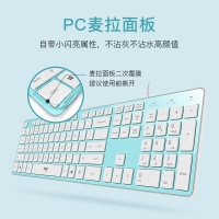 愛(ài)國(guó)者(aigo) V500薄荷綠鍵盤 有線鍵盤 靜音鍵盤 105鍵PC麥拉面板筆記本電腦一體機(jī)全尺寸USB接口 薄荷綠