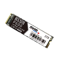 艾爾莎 P600系列 2TB M.2 NVME協(xié)議固態(tài)硬盤