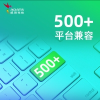 威剛 (ADATA) SU650 256G SATA固態(tài)硬盤 高速讀寫(xiě) 筆記本 臺(tái)式機(jī)拓展 SATA3.0接口