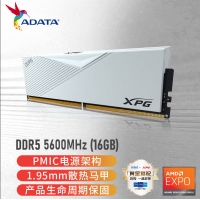 威剛（ADATA）XPG 威龍 LANCER 16G 5600 DDR5內(nèi)存條 臺式機(jī)內(nèi)存電腦內(nèi)存 釉白