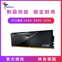 威剛（ADATA）16GB DDR5 5200 臺(tái)式機(jī)內(nèi)存條 XPG威龍-LANCER 黑色