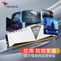 威剛（XPG）白龍條 16G 3200 DDR4 單條