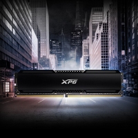 威剛XPG BBK20 16G-3200 DDR4 威龍條（黑）