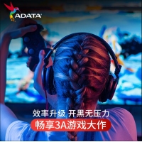 威剛（ADATA）XPG GAMMIX S50 Pro 1TB M.2接口PCIe 4.0固態(tài)硬盤(pán)SSD 臺(tái)式機(jī)筆記本電腦