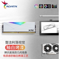 威剛龍耀DW50 32G-3200(16GX2)RGB燈條（釉白）套條馬甲