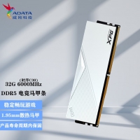 威剛（ADATA）XPG內(nèi)存 32G 6000 DDR5（釉白）游戲電競內(nèi)存條 高效提速 暢玩游戲