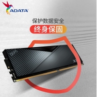 威剛（ADATA）XPG DDR5游戲電競電腦超頻內存 32G 6000  黑色內存條 高效提速 暢玩游戲
