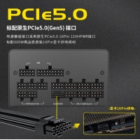 愛國(guó)者 電競(jìng)系列 ES1250 金牌全模組黑色 額定1250W （ATX3.0/原生PCIE5.0支持4090）
