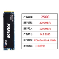 士必得固態(tài) P8-256G M.2 NVME 固態(tài)硬盤筆記本電腦臺式機SSD