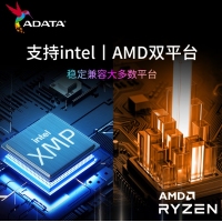威剛(ADATA) XPG 龍耀D35G 8G 3600 RGB酷黑燈條 DDR4 臺(tái)式機(jī)內(nèi)存條