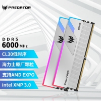 宏碁掠奪者（PREDATOR）32G(16G×2)套裝 DDR5 6000頻率 臺(tái)式機(jī)內(nèi)存條 Vesta II 炫光星艦RGB燈條(C30) 星光銀