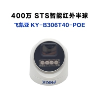 飛凱亞攝像頭 KY-B306T40-POE 2.8MM 400萬 STS智能紅外半球