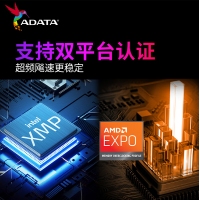威剛(ADATA) XPG 威龍BLADE 6000 16G DDR5（黑）大馬甲 海力士A代顆粒 臺(tái)式機(jī)內(nèi)存