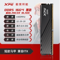 威剛(ADATA) XPG 威龍BLADE 6000 16G DDR5（黑）大馬甲 海力士A代顆粒 臺(tái)式機(jī)內(nèi)存