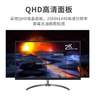 飛利浦（PHILIPS）325E8 32英寸高清2K高刷顯示器家用辦公專業(yè)電競(jìng)游戲娛樂(lè)屏幕75hz設(shè)計(jì)師外接筆記本電腦PS5