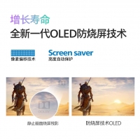 飛利浦34M2C8600 34英寸 QD-OLED 超寬2K曲面帶魚屏 175Hz 0.03ms HDR400 電競顯示器