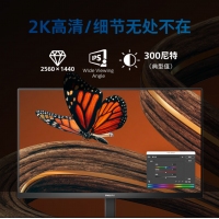 飛利浦（PHILIPS）27E1N5500E 27英寸2K 75Hz IPS技術(shù) 1ms 114%sRGB升降旋轉(zhuǎn) 專業(yè)顯示器