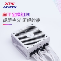 威剛（ADATA）XPG魔核II SE850W 白色電源 金牌全模組臺式電腦電源atx3.0電源支持4090