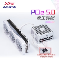 威剛（ADATA）XPG魔核II SE750W 白色電源 金牌全模組臺式電腦電源atx3.0電源支持4090