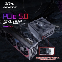 威剛（ADATA）XPG魔核II SE750W黑色電源 金牌全模組臺(tái)式電腦電源atx3.0電源支持4090