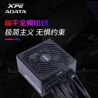 威剛（ADATA）XPG魔核II SE850W 黑色電源 金牌全模組臺式電腦電源atx3.0電源支持4090