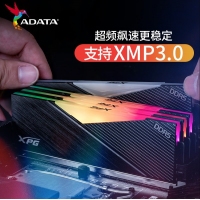 威剛(ADATA)XPG龍耀D500G 32GB(16GBX2)套裝 DDR5 8000 (黑色) 臺(tái)式機(jī)內(nèi)存條