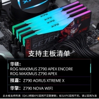 威剛(ADATA)XPG龍耀D500G RO姬聯(lián)名 32GB(16GBX2)套裝 DDR5 8000 臺式機內(nèi)存條