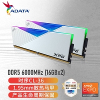 威剛(ADATA)XPG龍耀D500G 32GB(16GBX2)白色彩包套裝 DDR5 6000 C30海力士A die內(nèi)存條