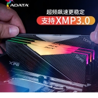 威剛(ADATA)XPG龍耀D500G 32GB(16GBX2)黑色彩包套裝 DDR5 6000 C30海力士A die內(nèi)存條