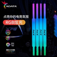 威剛(ADATA)XPG龍耀D500G 32GB(16GBX2)黑色彩包套裝 DDR5 6000 C30海力士A die內(nèi)存條
