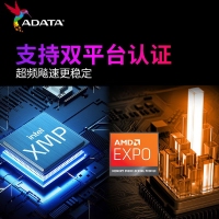 威剛XPG內(nèi)存 BW300 32G 6400 小馬甲(白)DDR5
