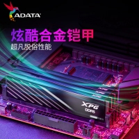 威剛威龍 BB300 16G 6000G DDR5 黑色 (小馬甲)