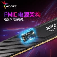 威剛威龍 BB300 16G 6400 DDR5 黑色 (小馬甲)