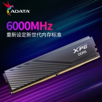 威剛威龍 BB300 32G 6000 DDR5 黑色 C30 海力士Adie(馬甲)