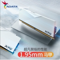 威剛（ADATA）威龍 D500白 6000 32G LANCER 內(nèi)存條DDR5 XMP3.0高頻電腦臺(tái)式機(jī)內(nèi)存條