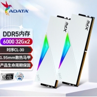 威剛(ADATA)XPG龍耀D500G 64GB(32GBX2)白色彩包套裝 DDR5 6000 C30海力士A die內(nèi)存條