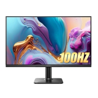 飛利浦 24E2N1100 24英寸顯示器 100HZ IPS技術(shù)低藍(lán)光不閃商務(wù)辦公顯示屏