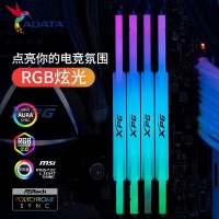 威剛(ADATA)XPG D500G 32G(16G*2) 6800 DDR5 DW500G (釉白) RGB 臺(tái)式機(jī)內(nèi)存條