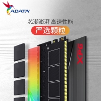 威剛龍耀DT50 16G-3200(8GX2)RGB燈條（鈦灰）馬甲套條