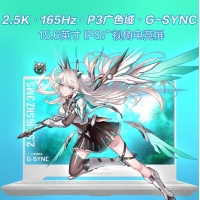 華碩天選4 FX507VV13900青 酷睿I9-13900H 16G 512G RTX4060 15.6英寸電競游戲本