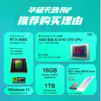 華碩天選Air 2024 FA401WV370日蝕灰 銳龍AI9HX-370 16G 1TB RTX4060-8G 電競游戲本