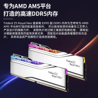 芝奇（G.SKILL）皇家戟 32GB(16Gx2)套裝 DDR5 6000頻率 EXPO版RGB燈條-銀色/C28
