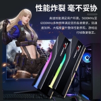 芝奇（G.SKILL）焰鋒戟 32GB(16Gx2) DDR5 6000 RGB燈條/XMP&EXPO/C30