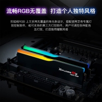 芝奇（G.SKILL）烈焰槍 64GB(32Gx2) DDR5 6000 RGB 燈條-黑色/AMD EXPO/C28