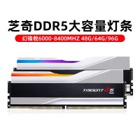 芝奇（G.SKILL）幻鋒戟XMP 64GB(32Gx2) DDR5 6800 A-Die/C34大容量臺式機RGB內(nèi)存燈條套裝