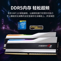 芝奇（G.SKILL）幻鋒戟XMP 64GB(32Gx2) DDR5 6400 A-Die/C34大容量臺(tái)式機(jī)RGB內(nèi)存燈條套裝